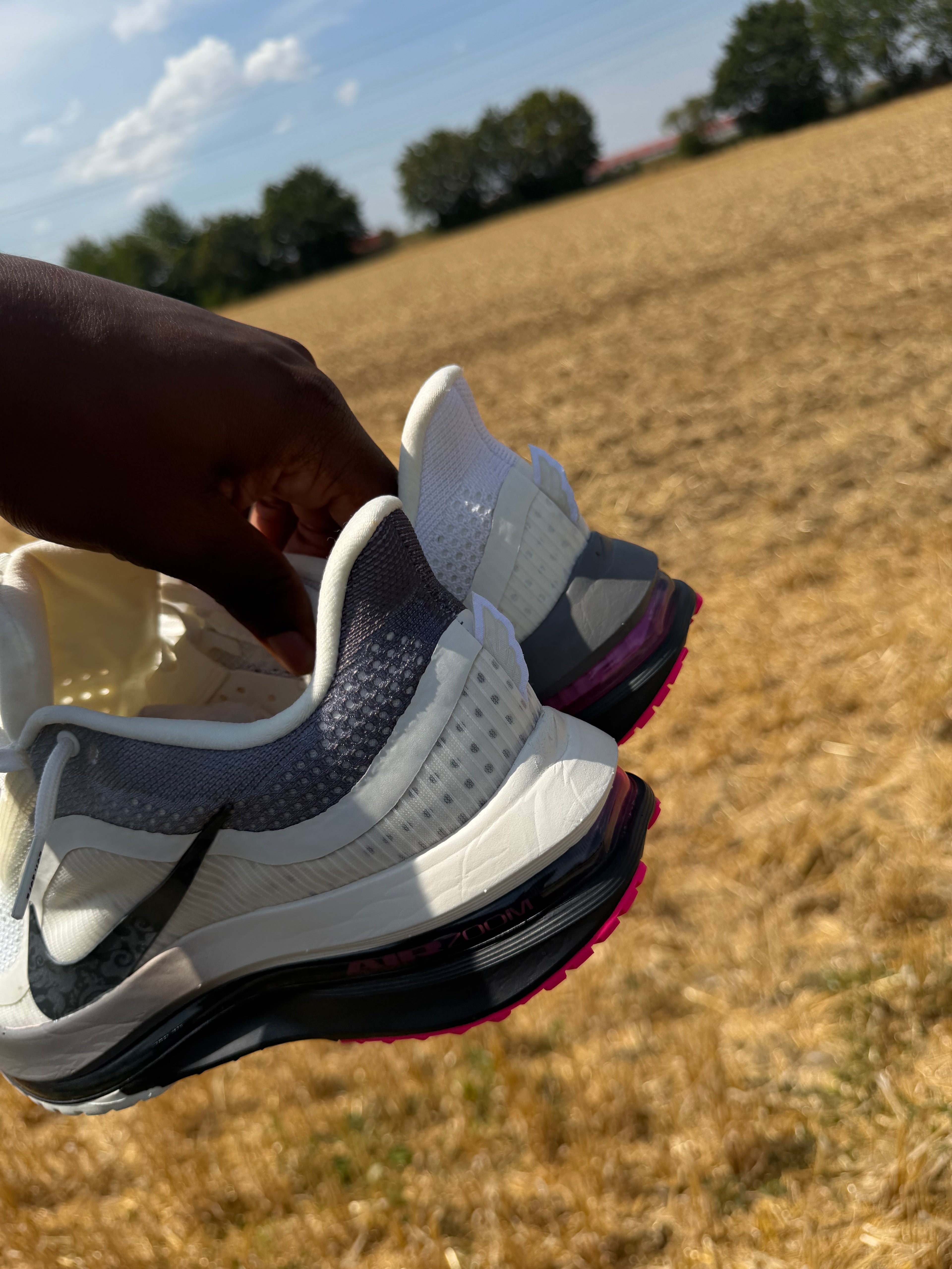 Nike Pegasus premium ( BLACK METALLICA SILVER )