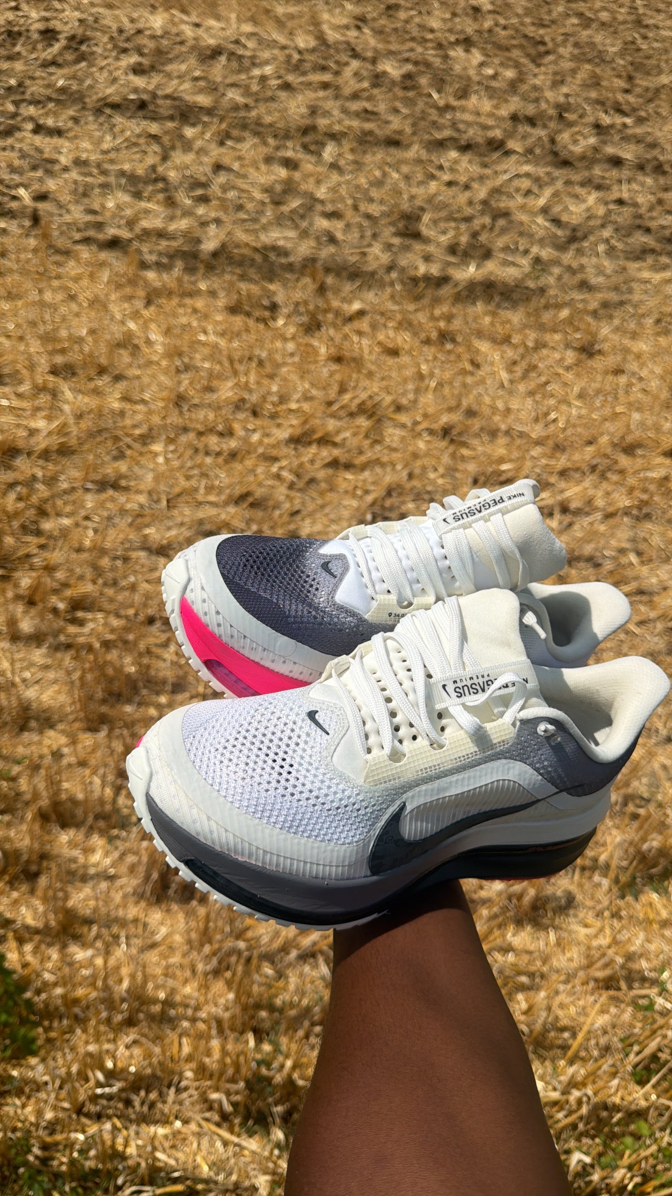 Nike Pegasus premium ( BLACK METALLICA SILVER )