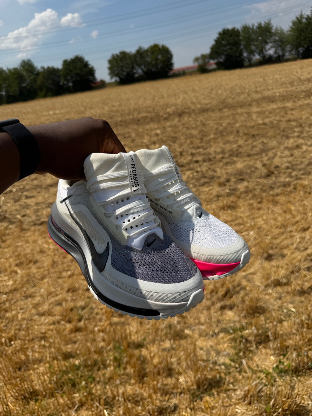 Nike Pegasus premium ( BLACK METALLICA SILVER )