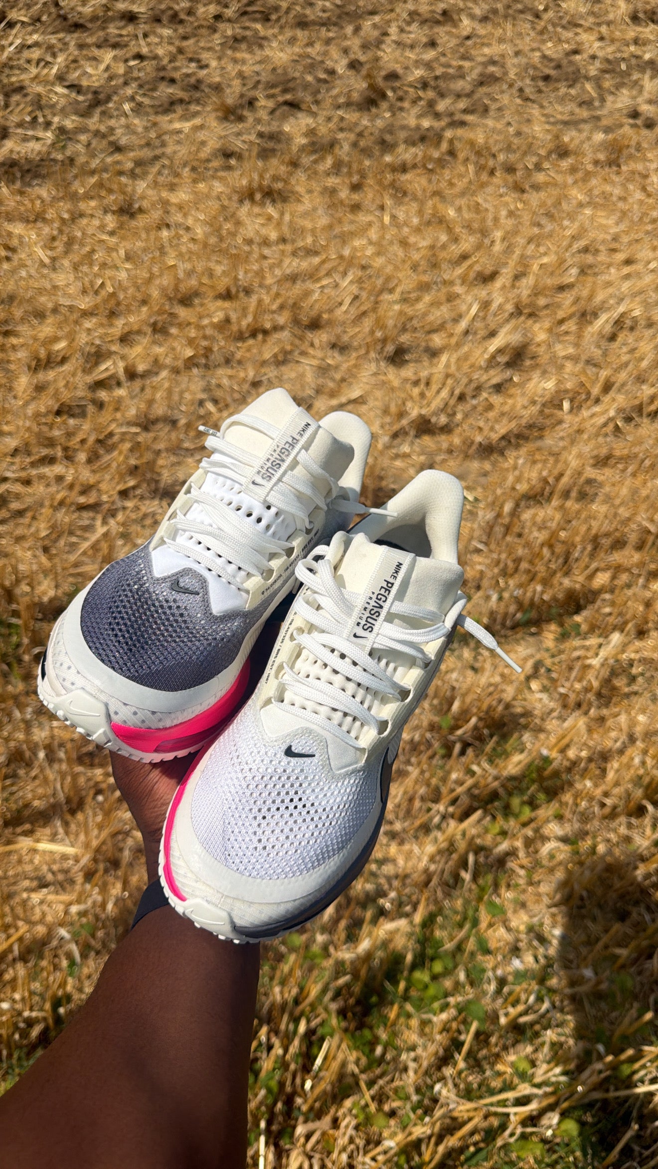 Nike Pegasus premium ( BLACK METALLICA SILVER )