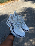 Nike Pegasus Premium ( ANTHRACITE METALLIC SILVER