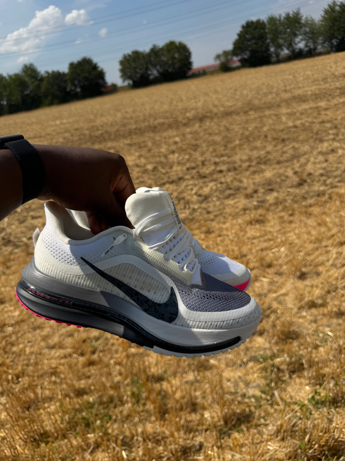 Nike Pegasus premium ( BLACK METALLICA SILVER )