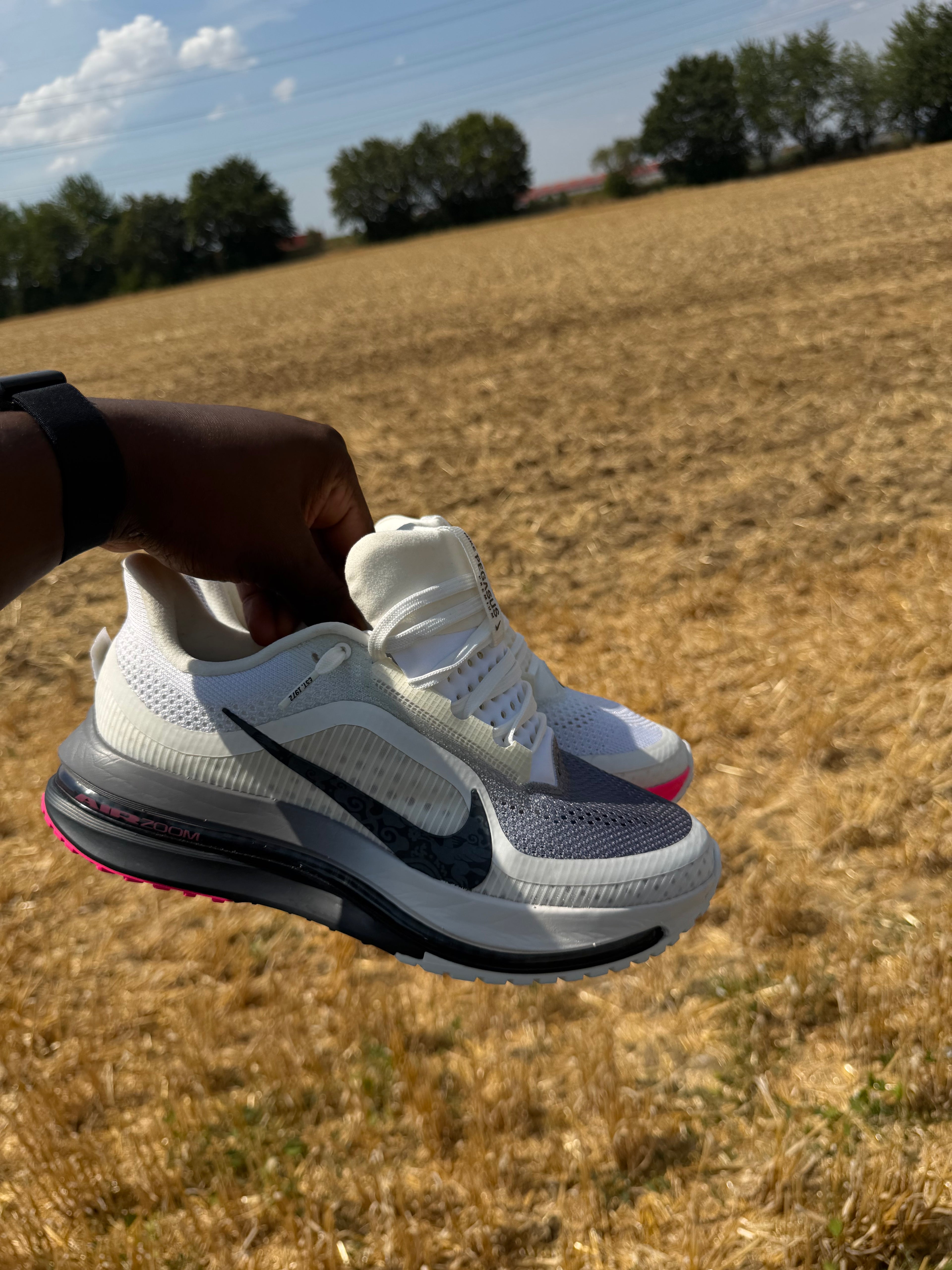 Nike Pegasus premium ( BLACK METALLICA SILVER )