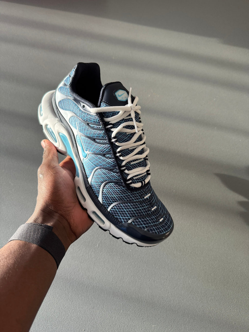 Nike Air Max Plus (Obsidian Blue)