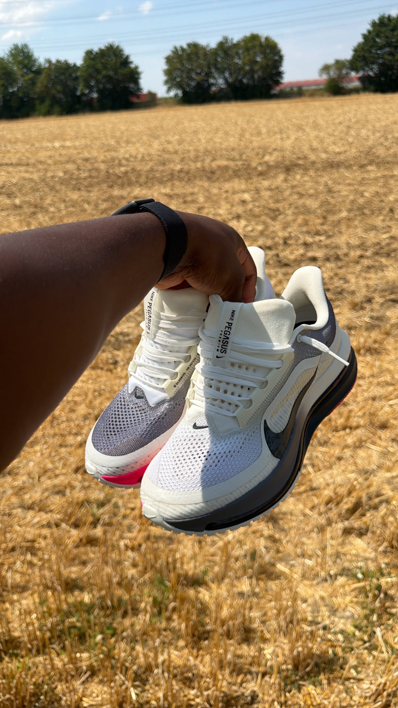 Nike Pegasus premium ( BLACK METALLICA SILVER )